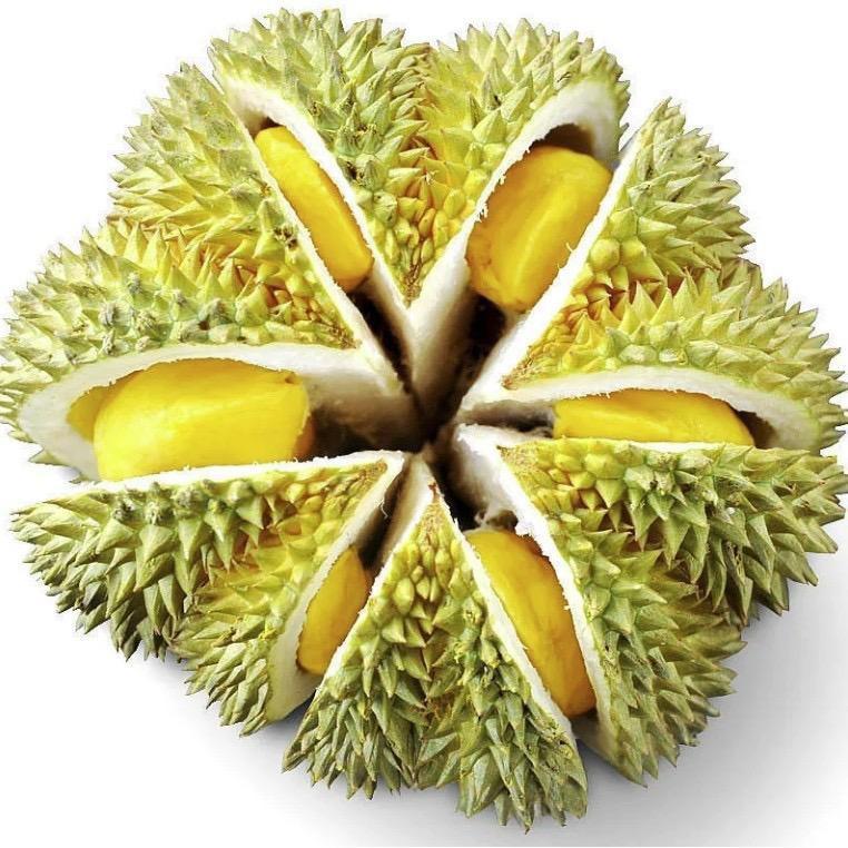 临港吃什么《商户推厂》