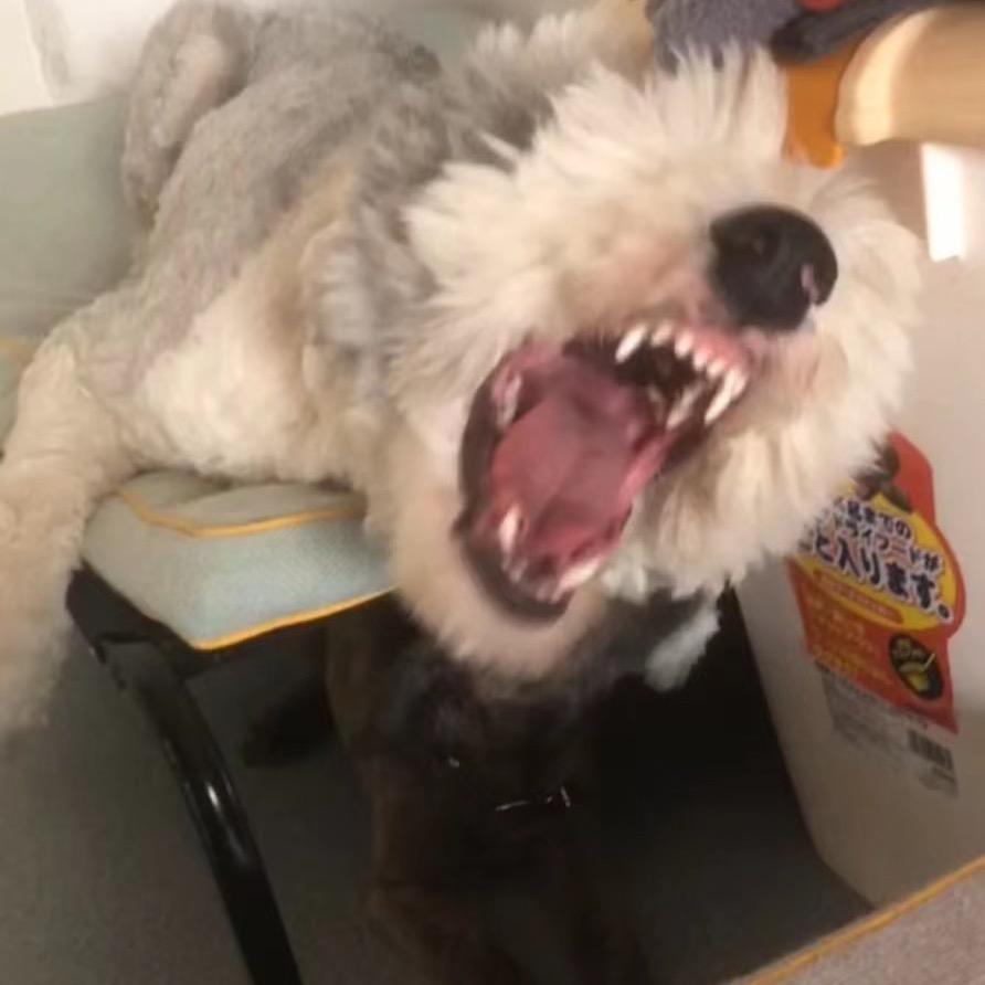 我是大嘴啊@抖音