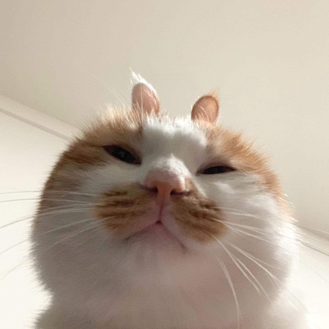 老公跟别人跑了我还在上课