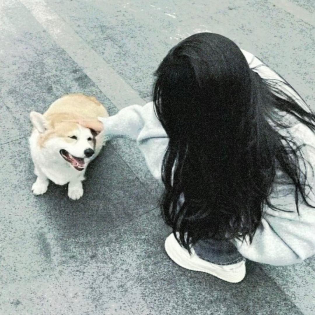 宝宝-