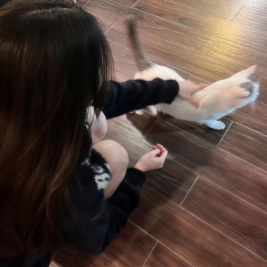 会的