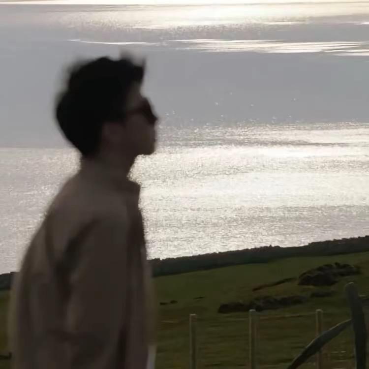 磊