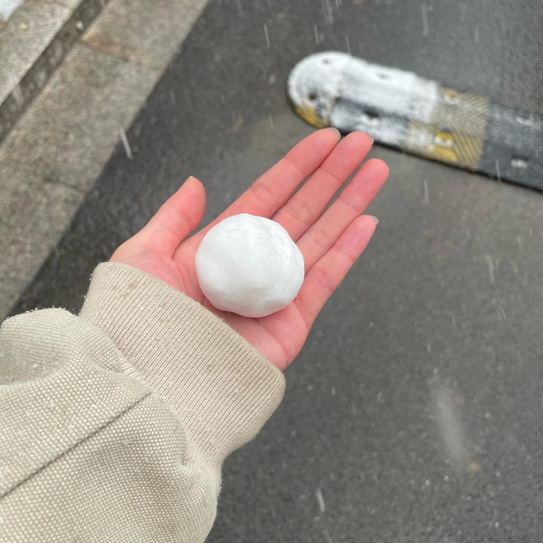 阿比巴卜