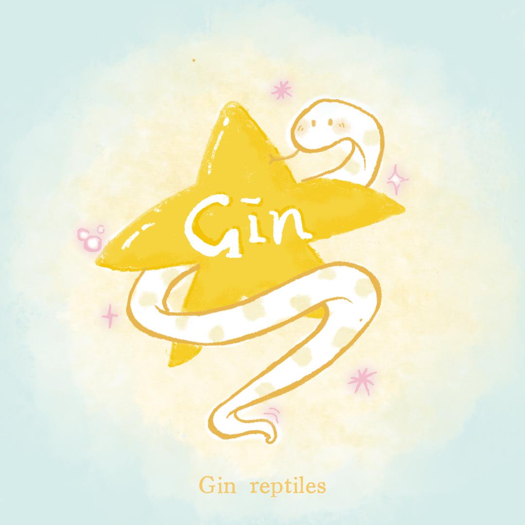 Gin金 爬宠工作室GinBreeder