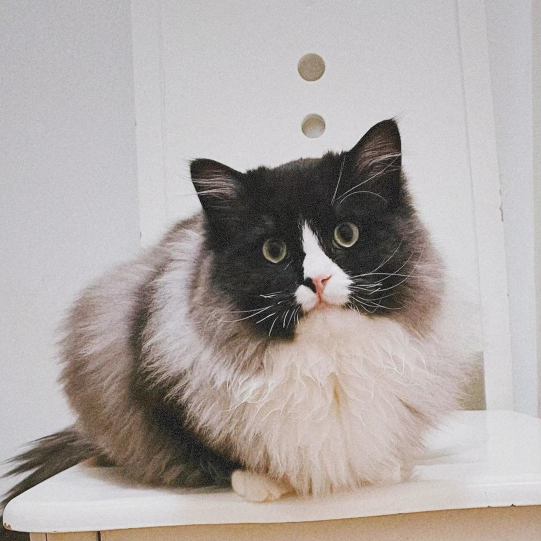 是光光啊（三角洲行动）