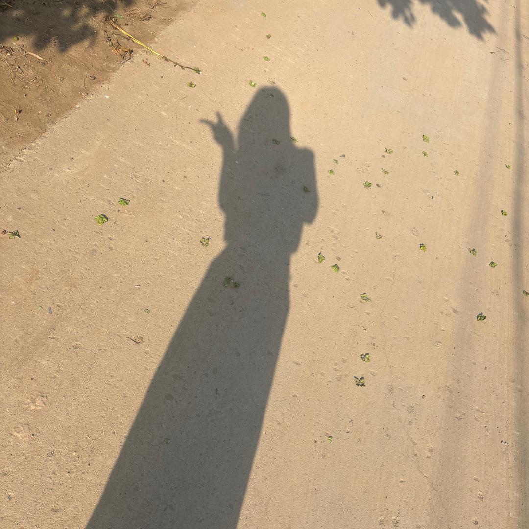 ╰つ゛何为归途