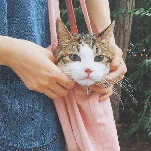 村中恶霸张德帅