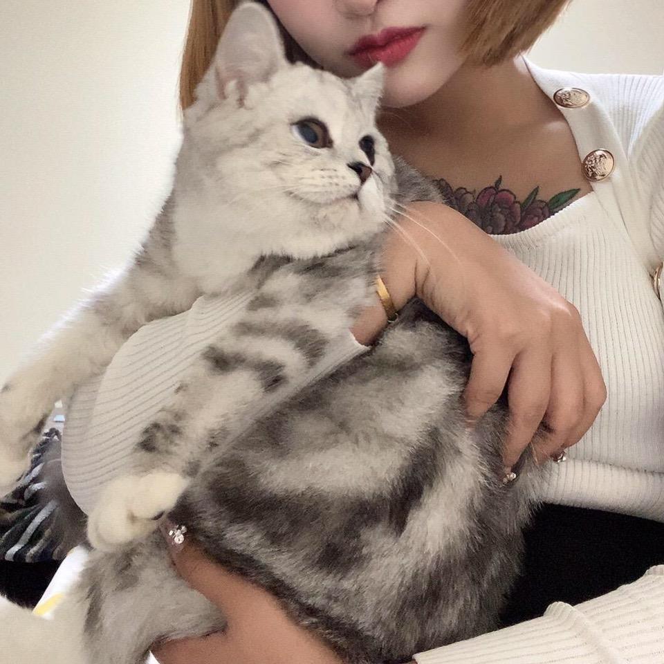莜莜好物