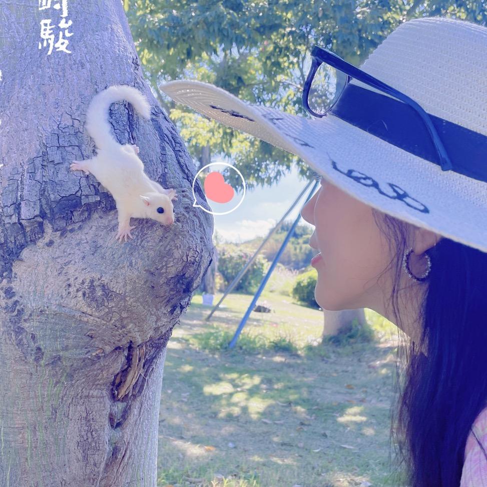 🌱蜜袋猪小卜卜🍯