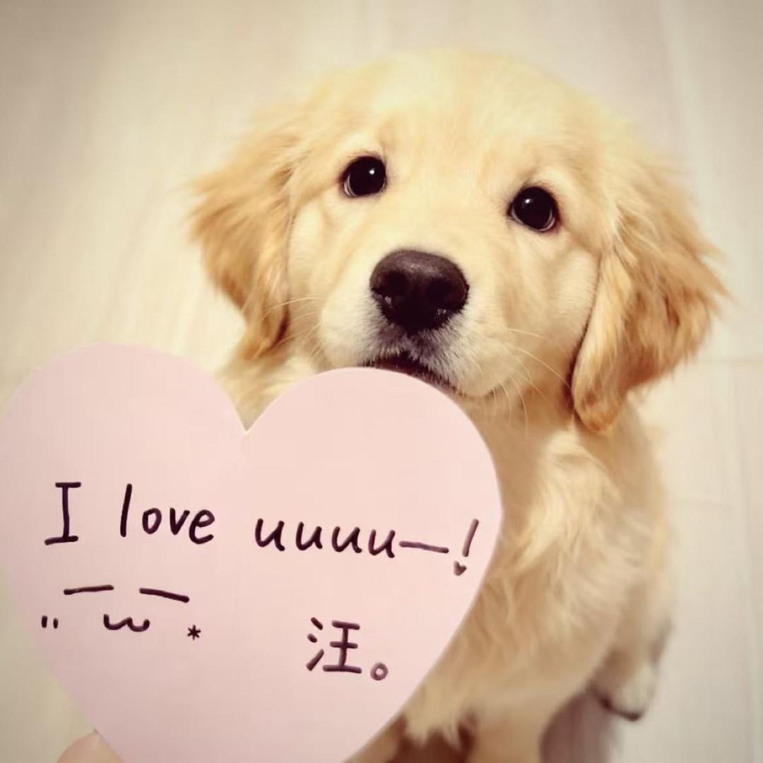 凯里装修设计-杨