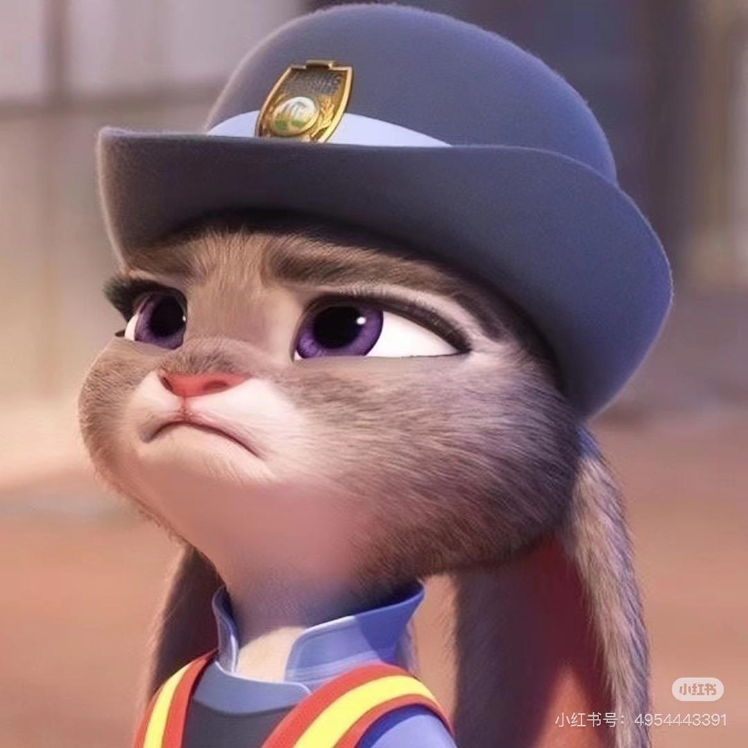 朱迪警官👮‍♀️