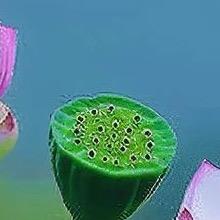 好运相伴，一天比一天更好