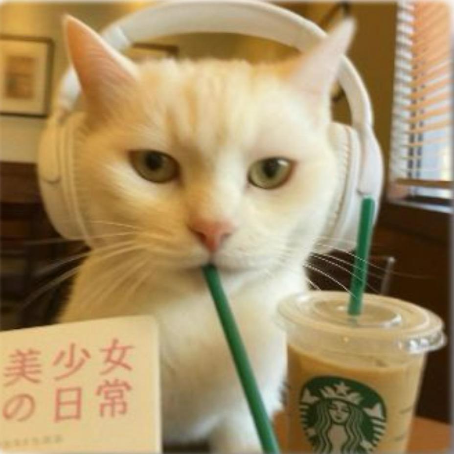 腿毛