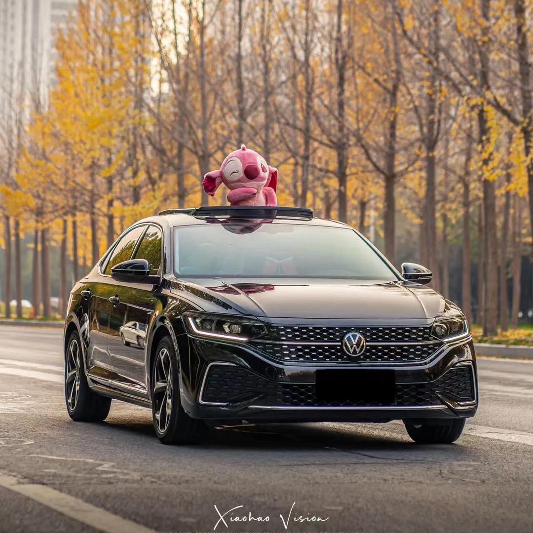 小宋的帕萨特✨