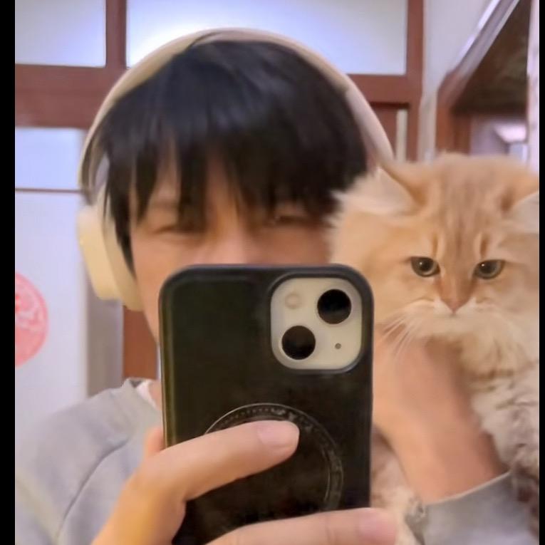 猫尾