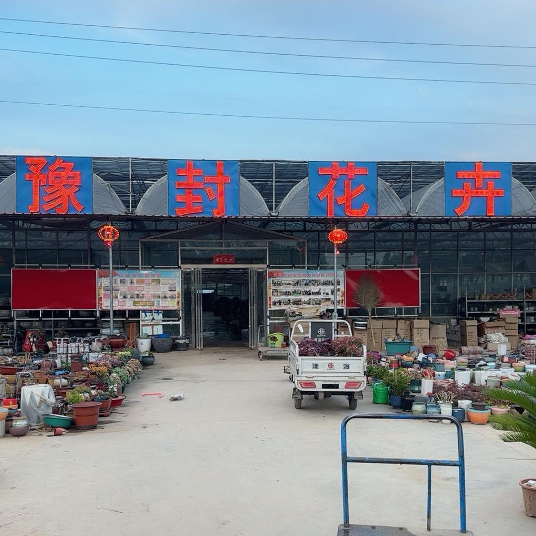 豫封花卉批发市场