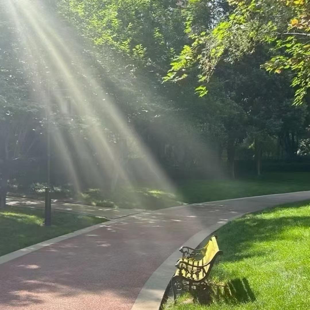 蔷薇～