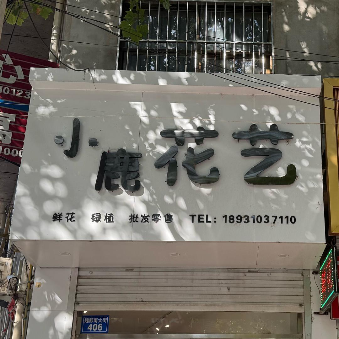 小鹿🦌花艺（魏县店）