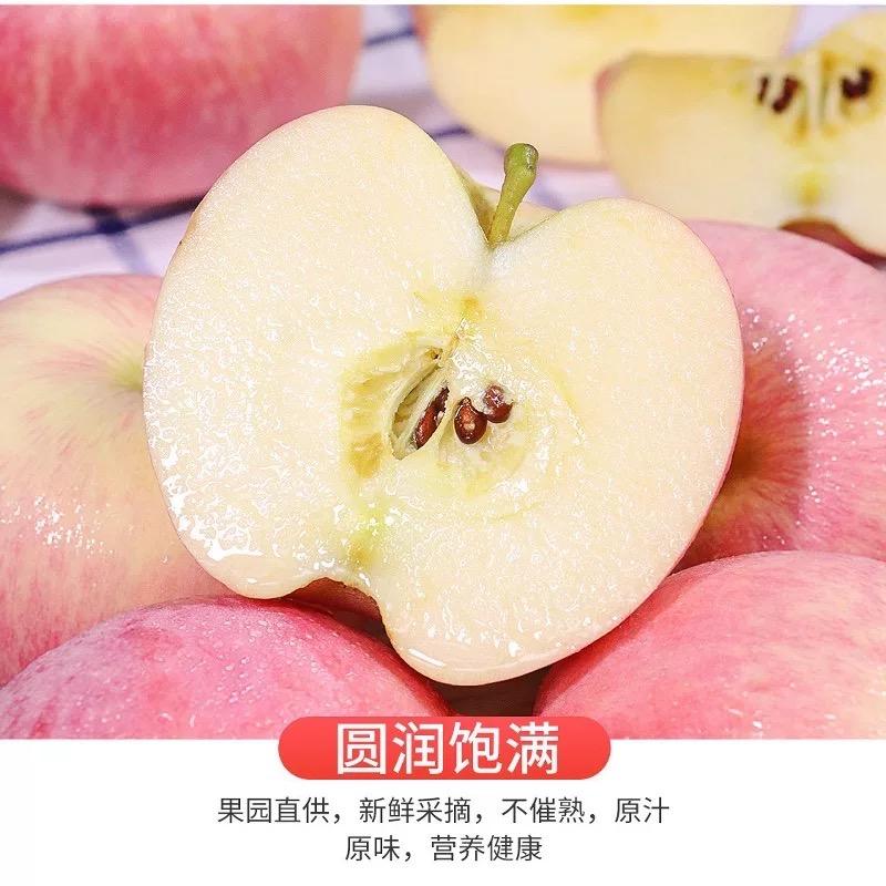 充满阳光的水果