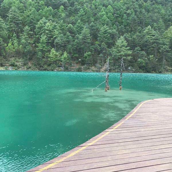 默忘