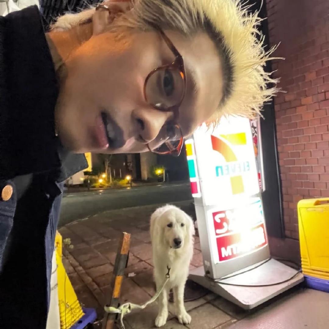 秋秋秋秋秋