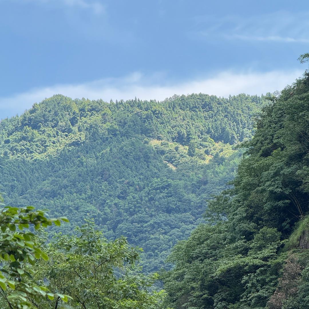 看山是山