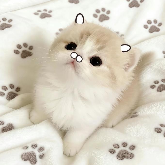 ：