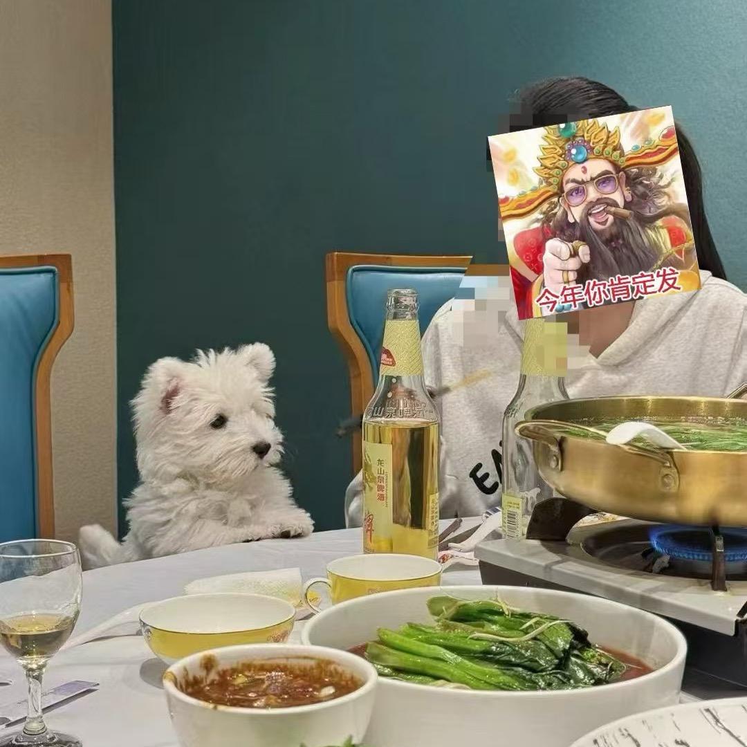 小周周