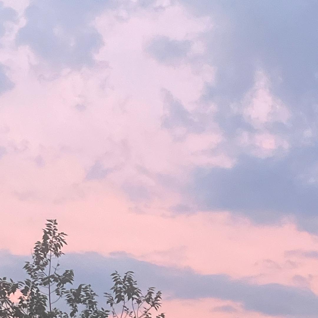 高手
