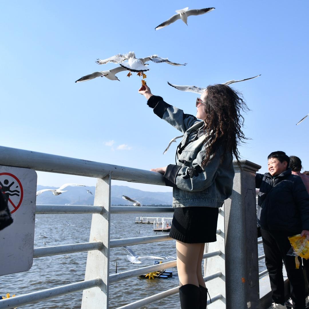 晋昱牛肉__一米阳光