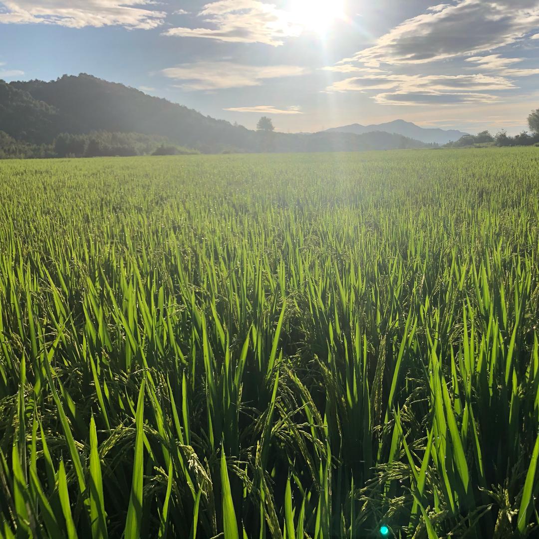 青启生态农业有限公司