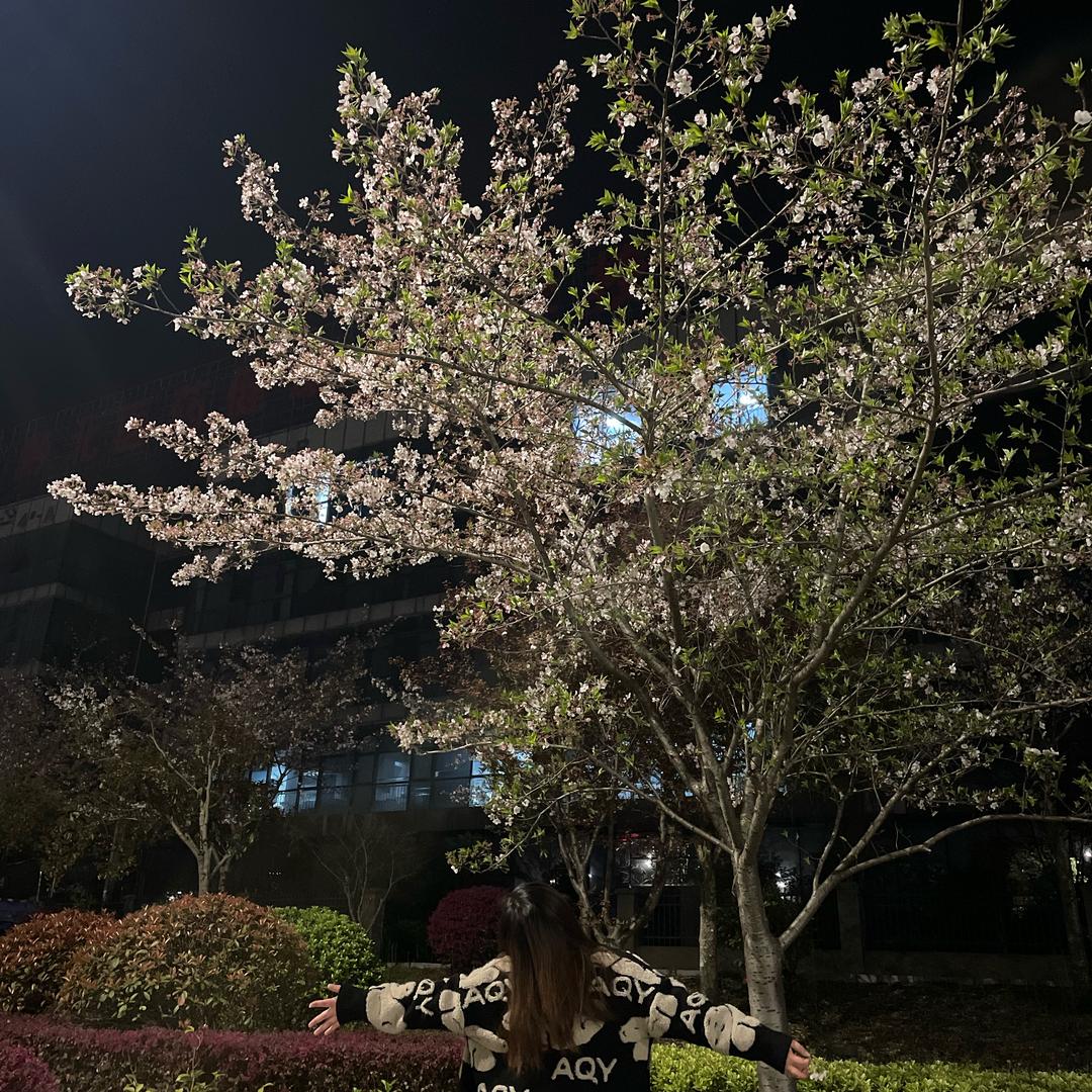 绪绪