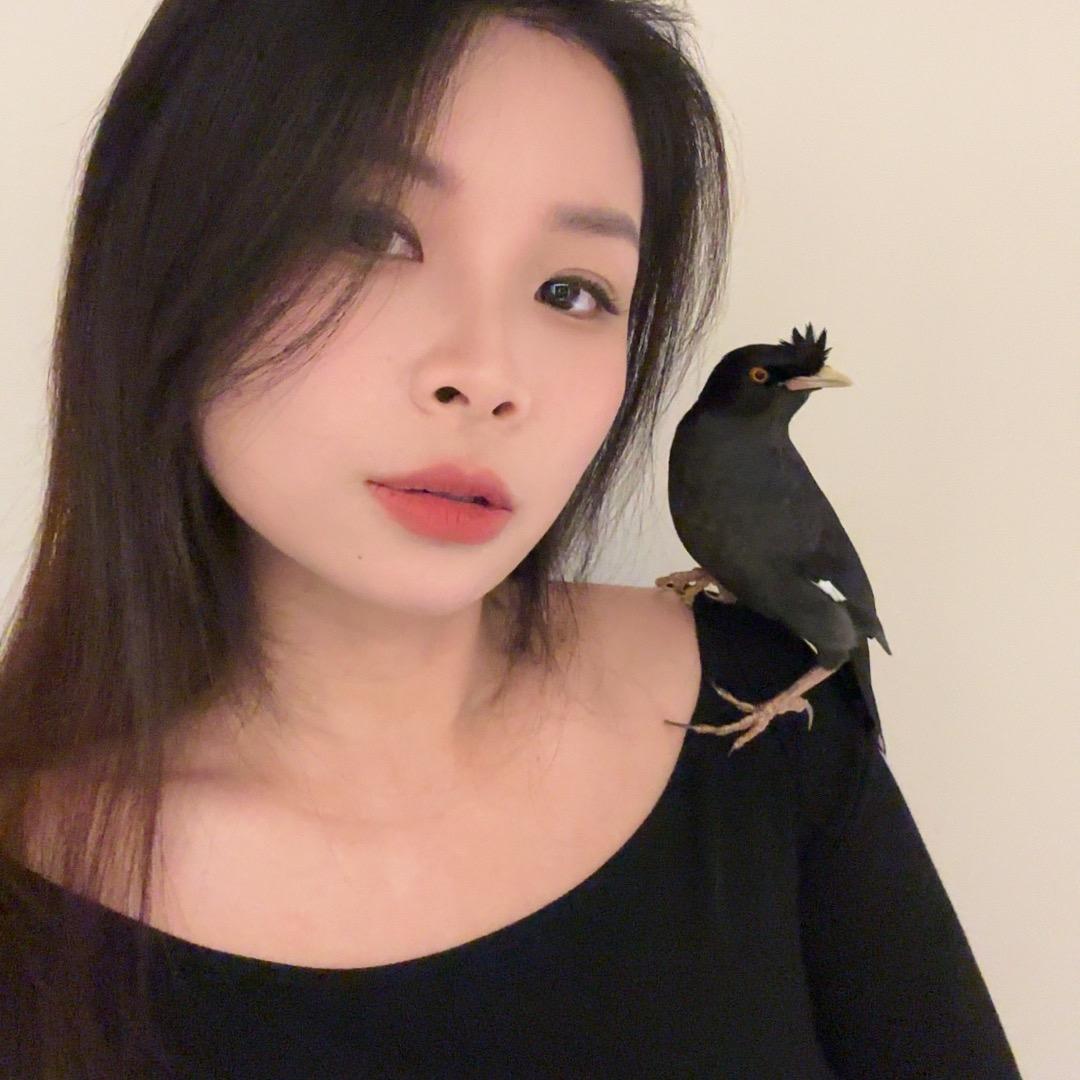 唐大嘴(鸟品优选)