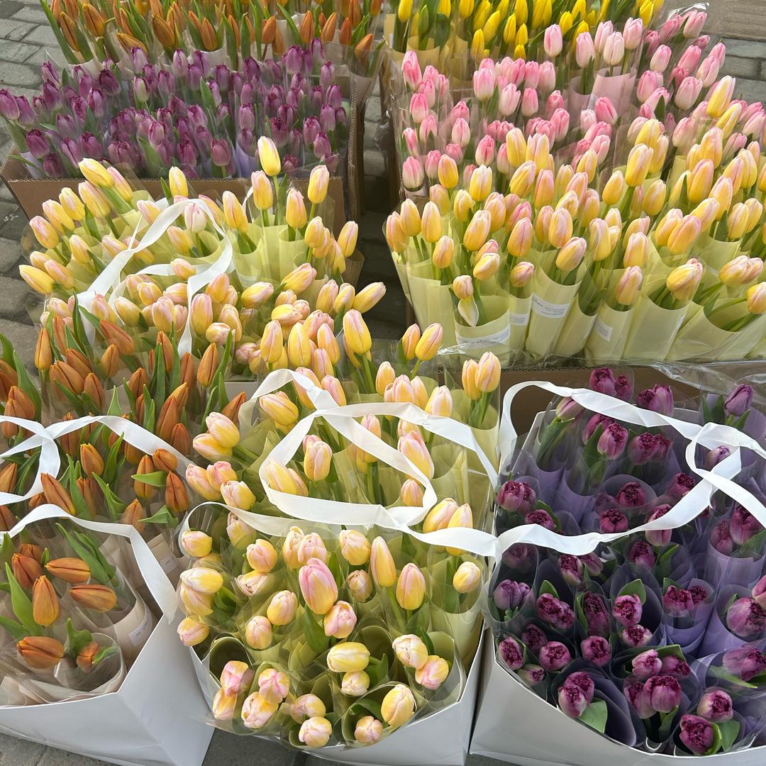 在招聘の桃子君