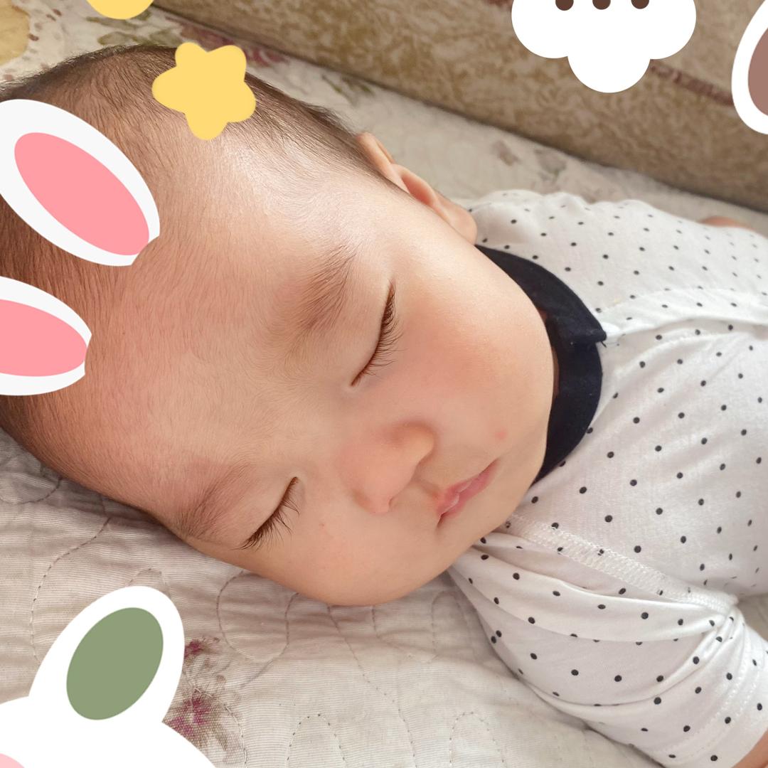 弎小只🍼