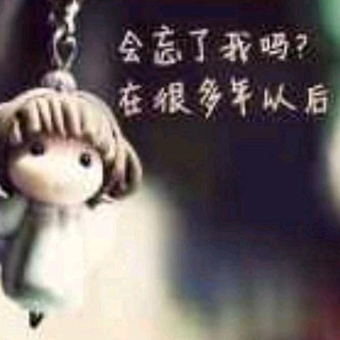 单只蝴蝶🦋