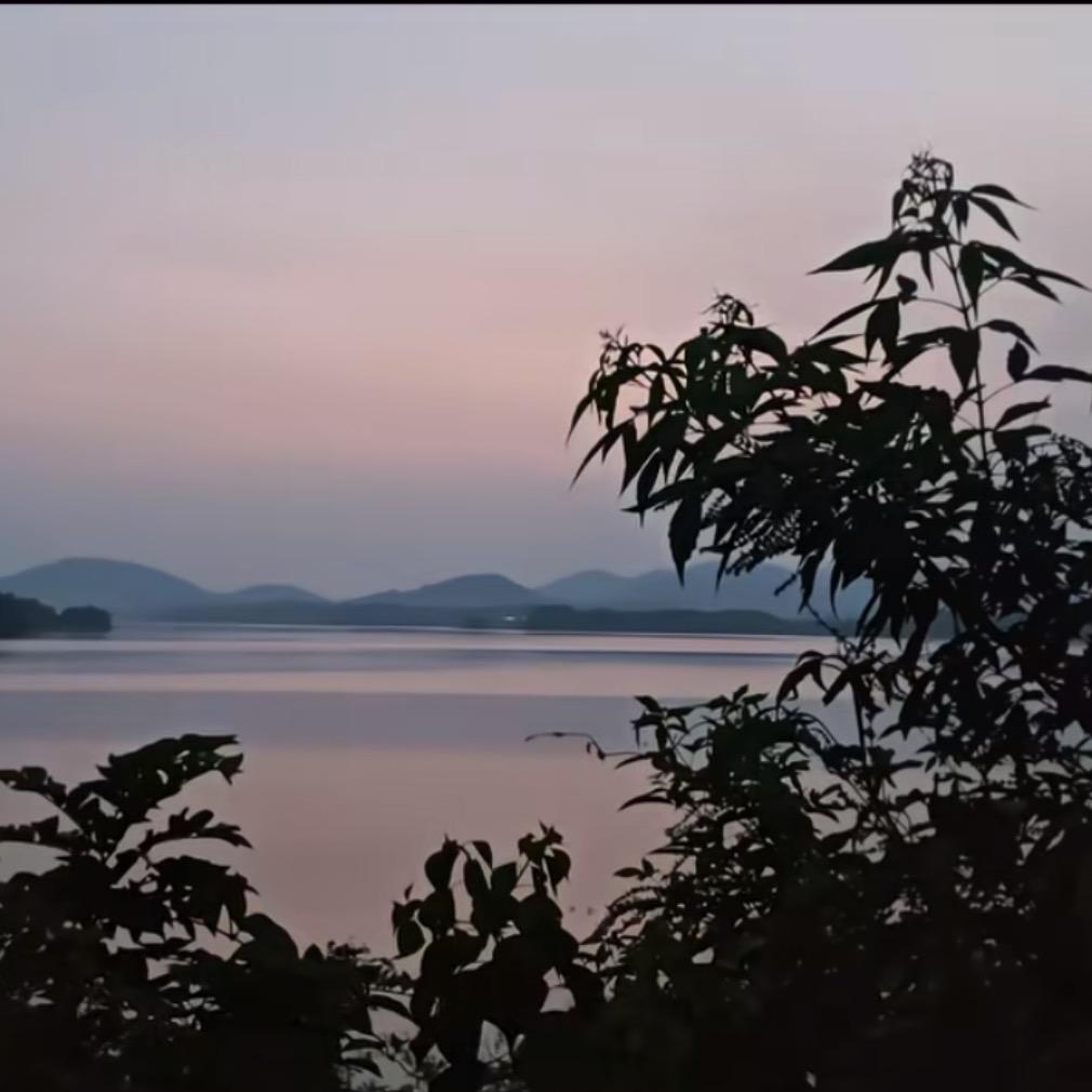 🍃步步生香