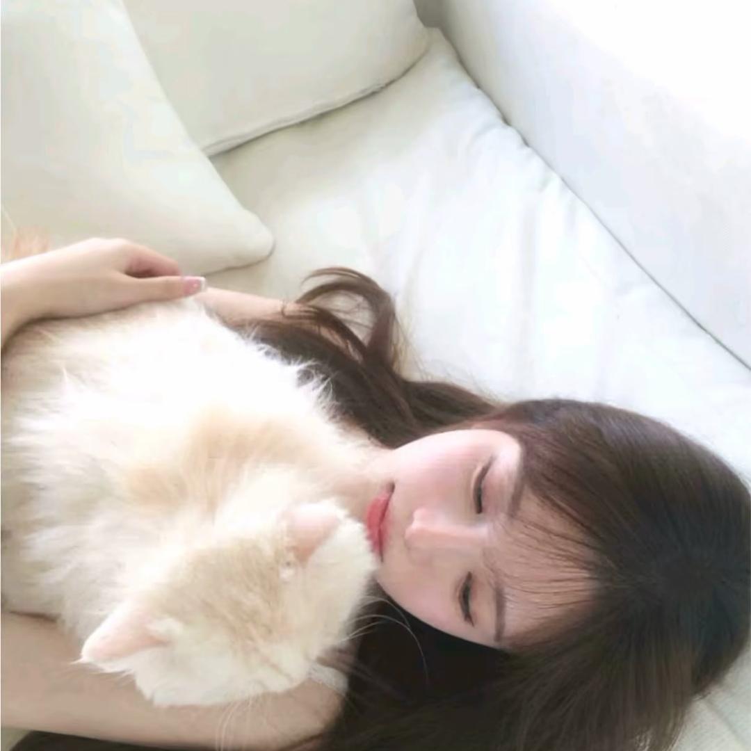 摆烂鱼丸