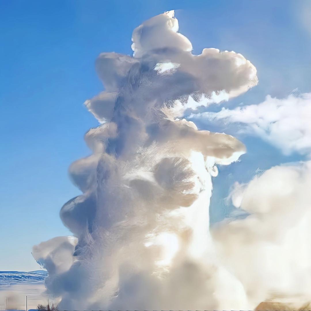 🦖霸王龙