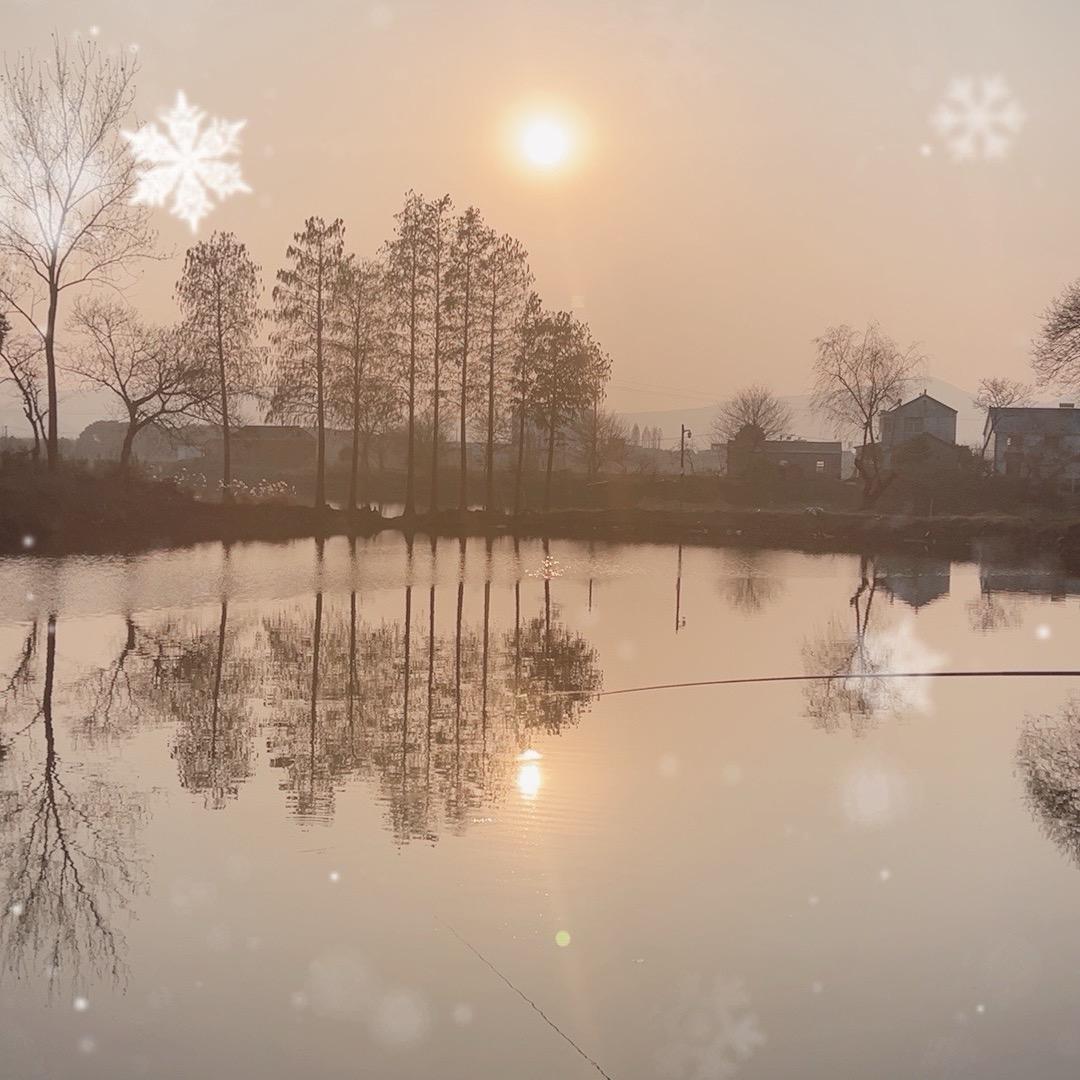 护驾墩水产养殖场