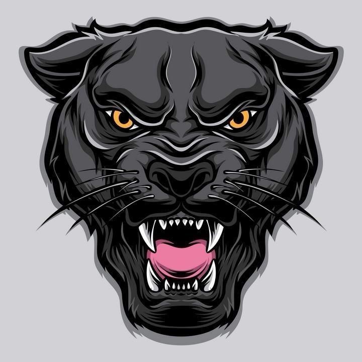 闪影数码旗舰店