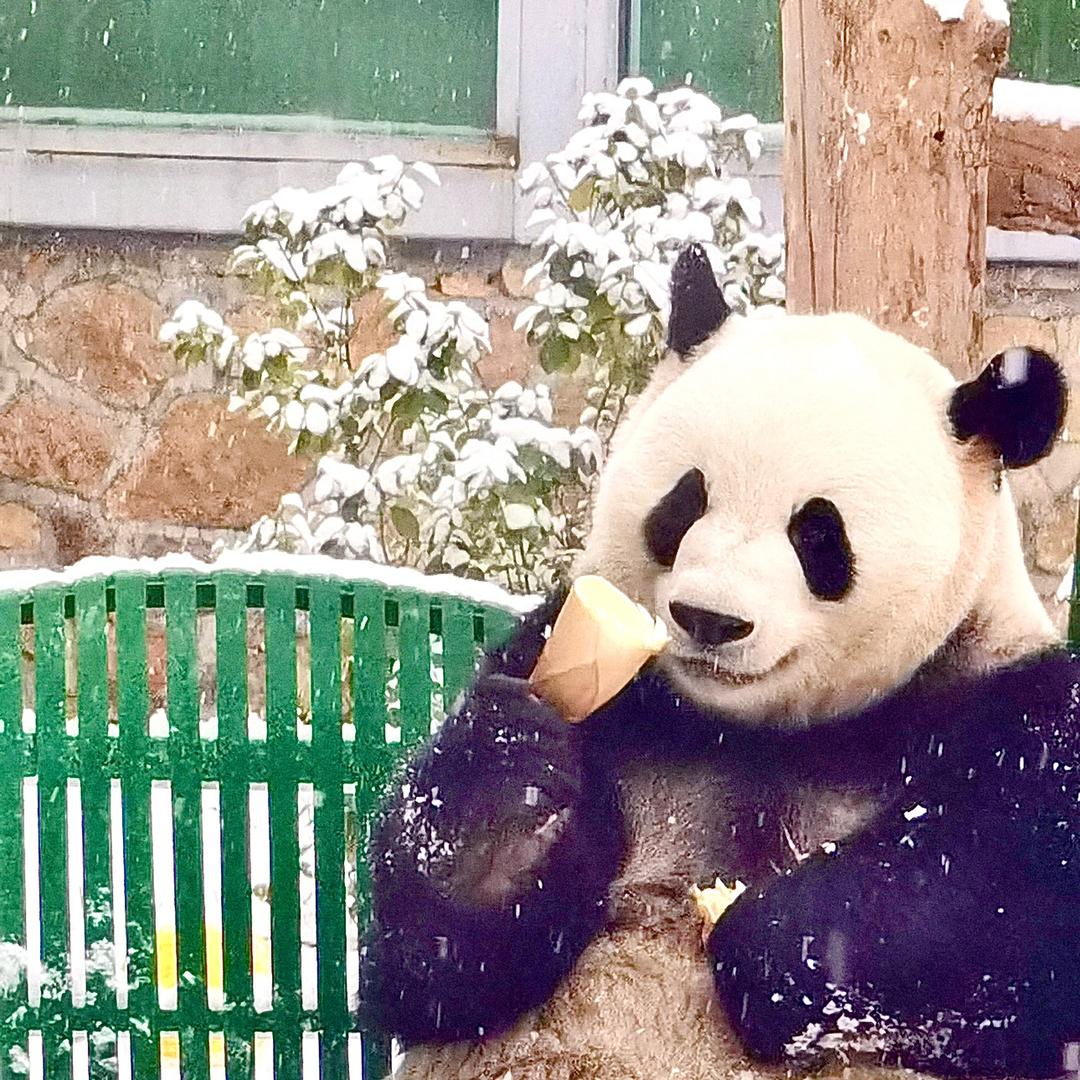 ❤️巧克力🍫糖霜🍬❤️