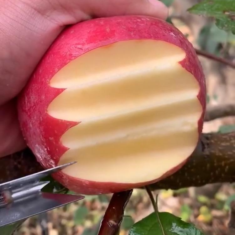 清香蜜味