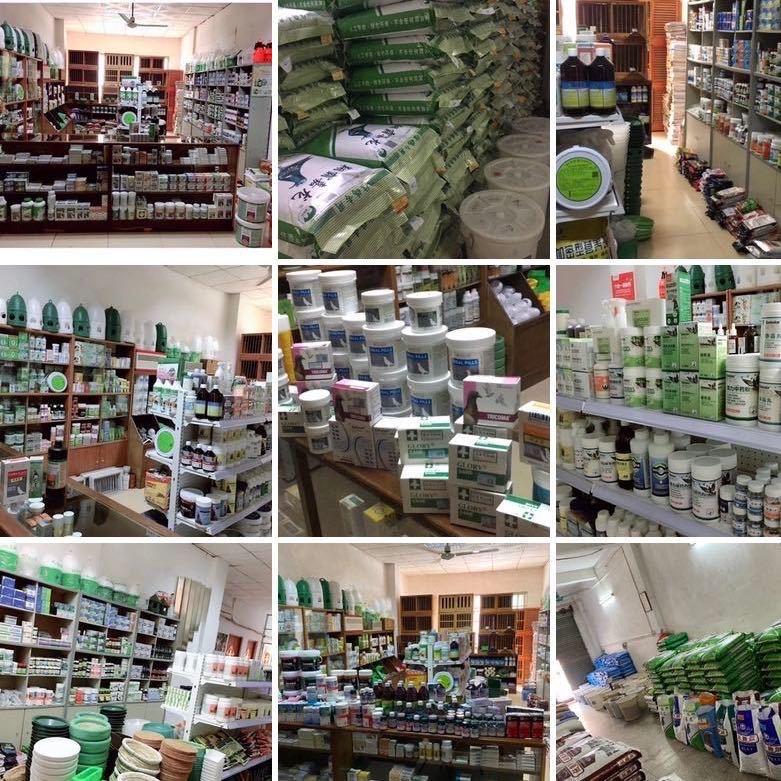 东莞市寮步翔耀信鸽总汇～张小姐