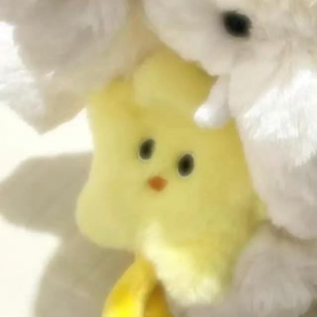 没事别捣蛋
