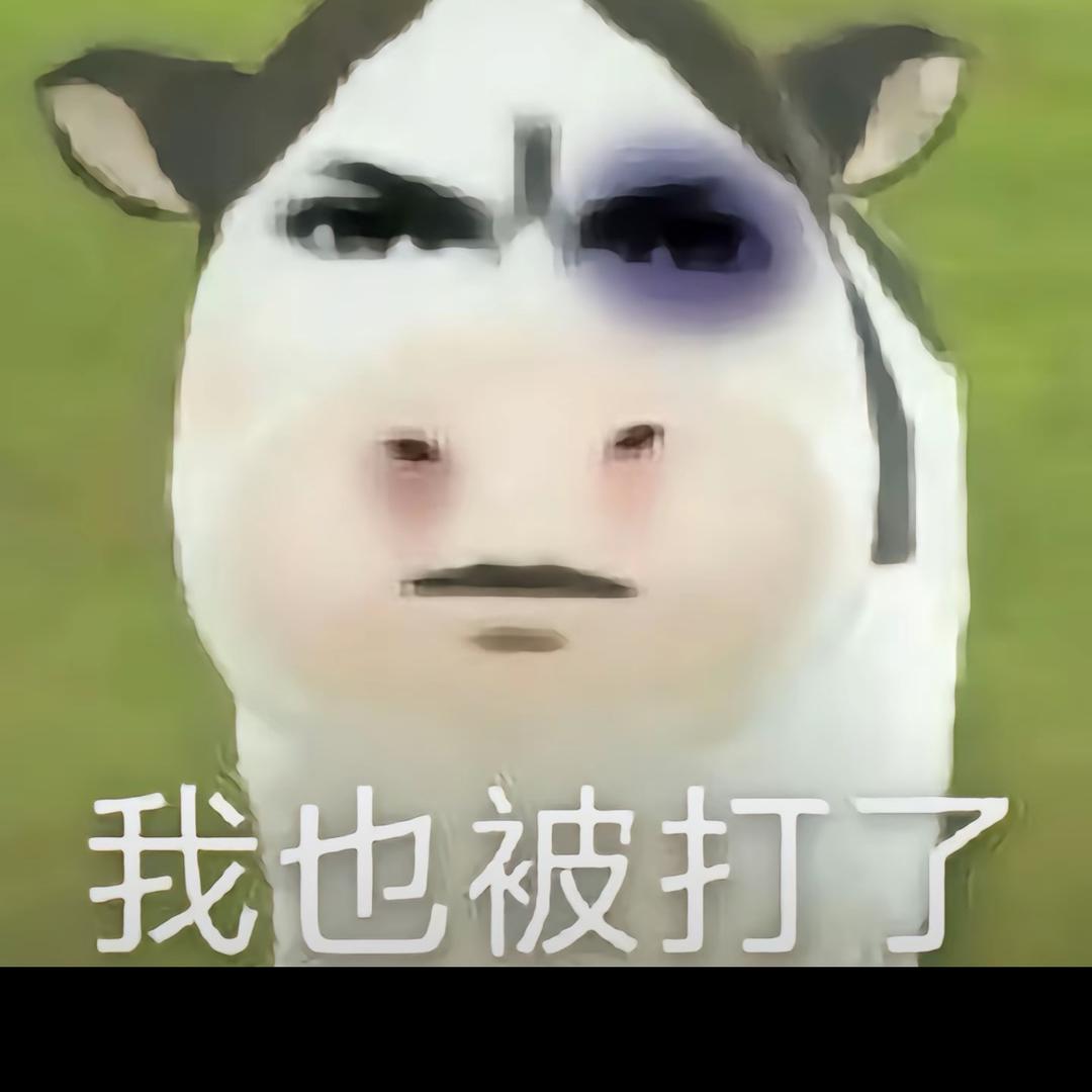 哇嗒西哇