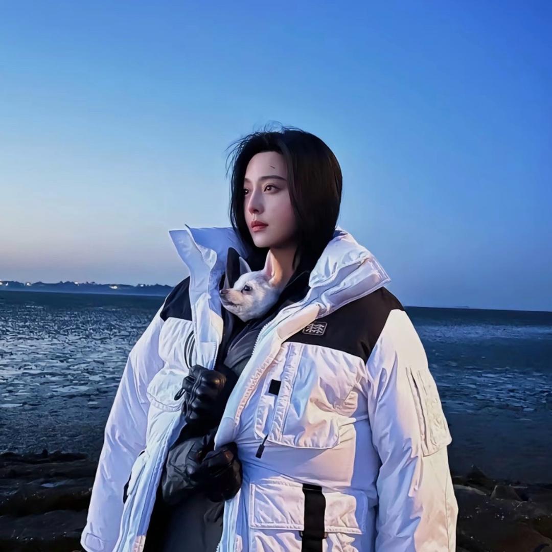 小流星_RFVF