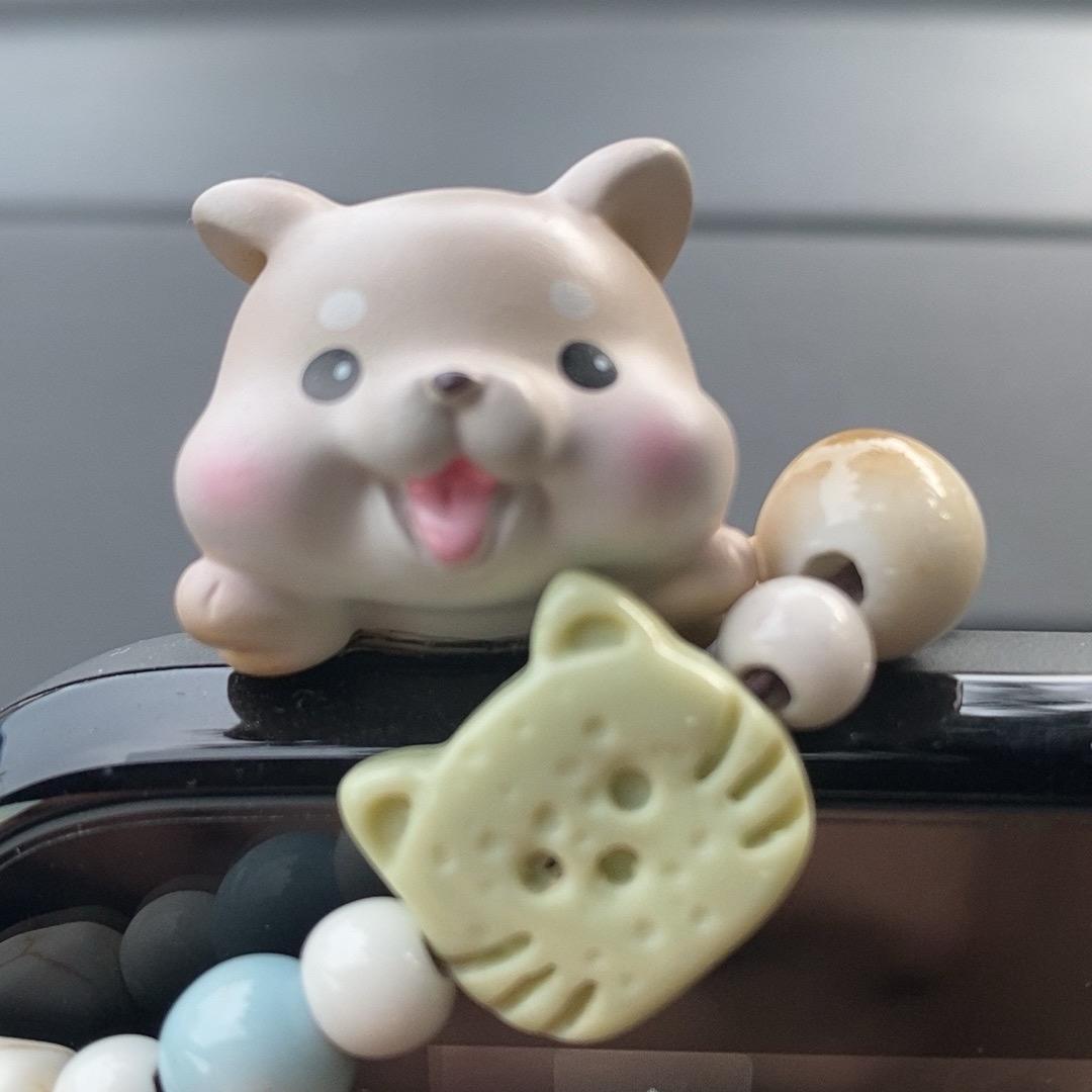 小阮在福州