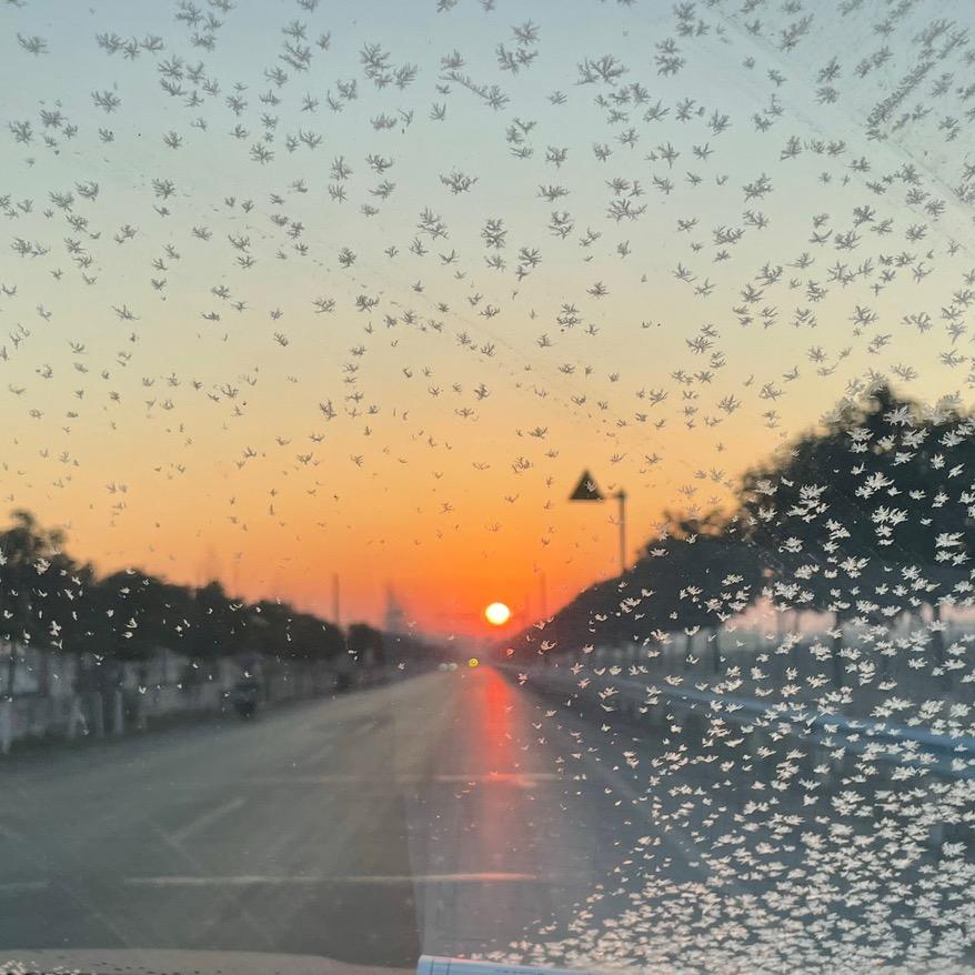 ㅤㅤㅤㅤㅤㅤㅤㅤ.