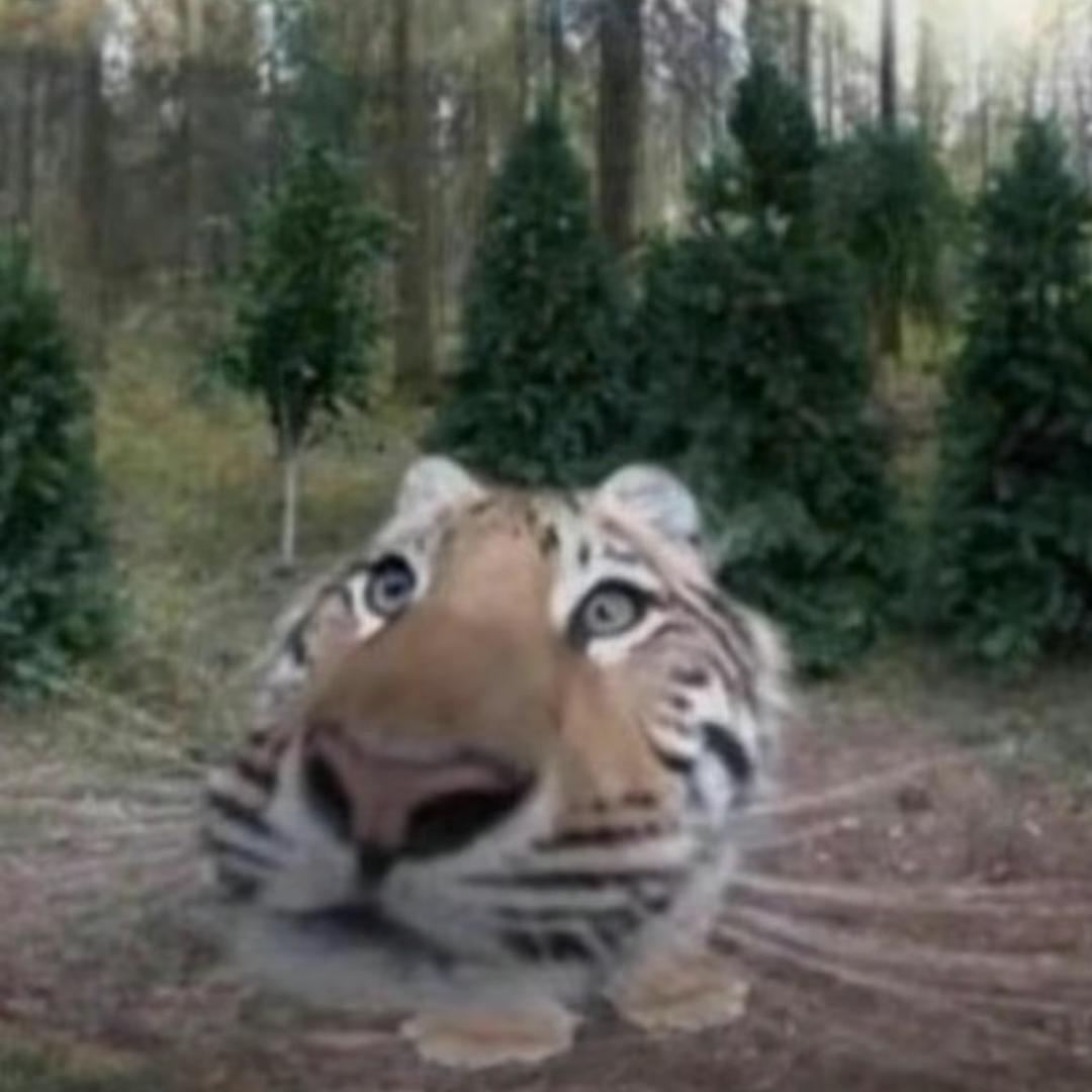 北风北风变成了赛跑的小孩